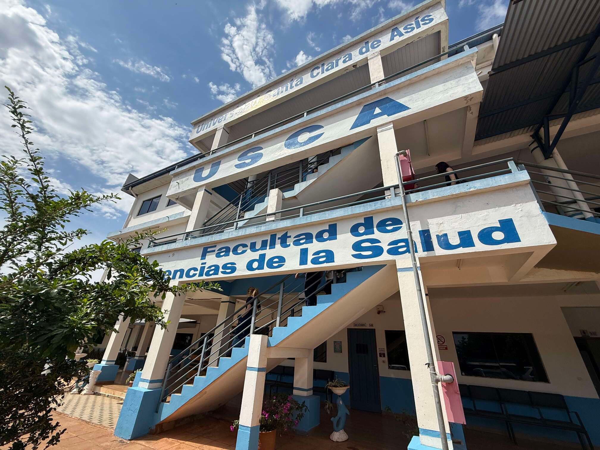 Imagen de sección